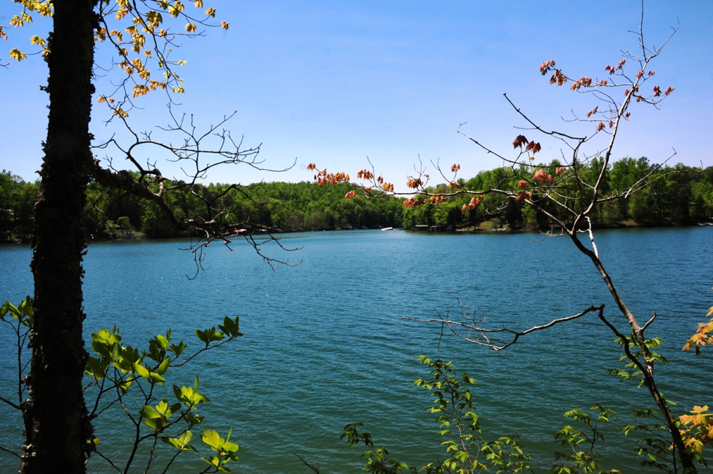 Home Builder on Norris Lake