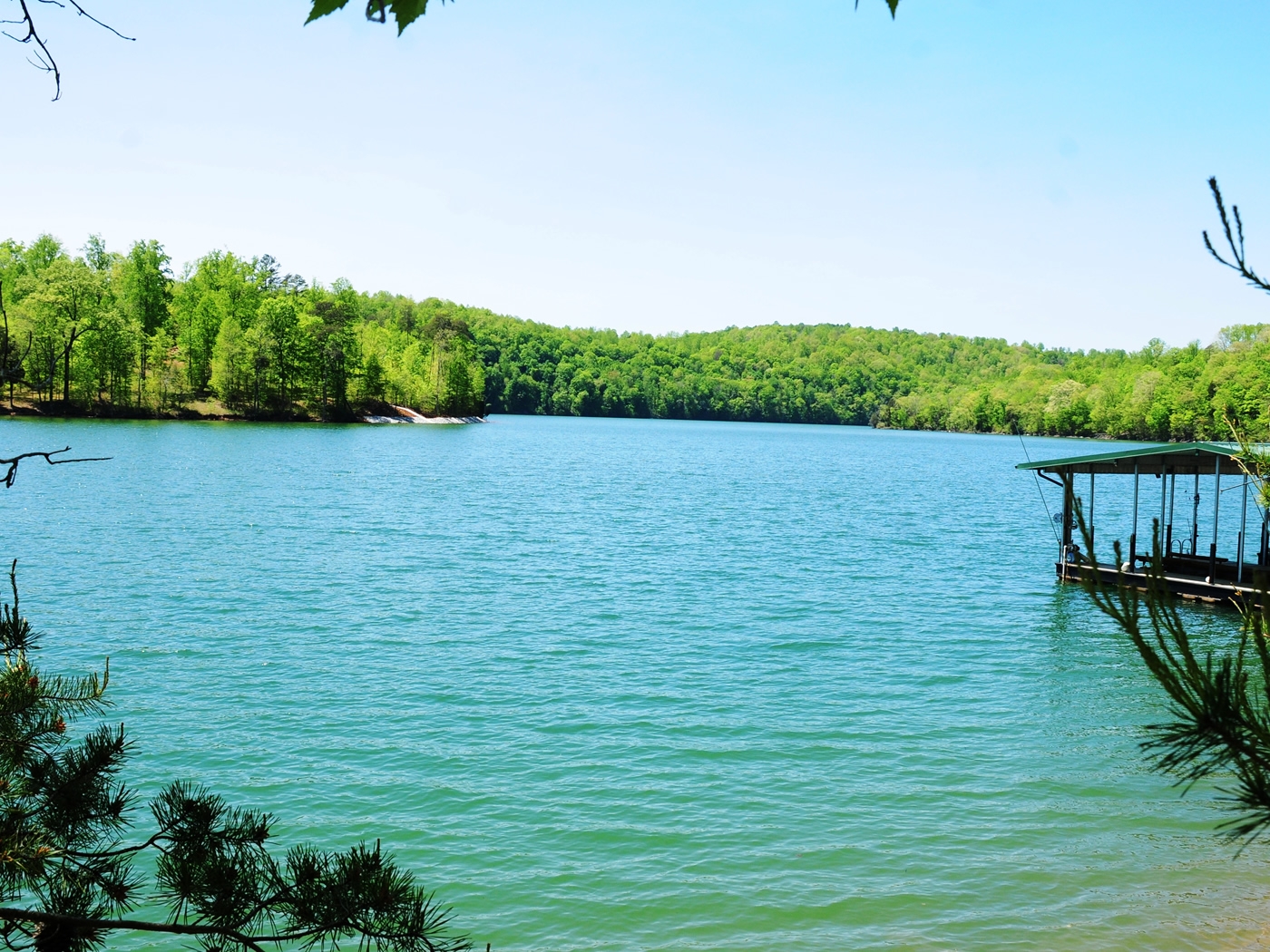 Picking a good lot on Norris Lake